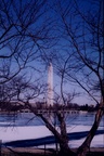 Washington DC Feb. 2007
